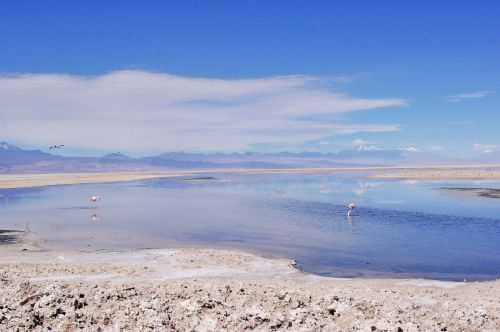 TREKKING NEL DESERTO DI ATACAMA 2015